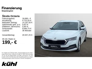 Skoda Octavia Leasing