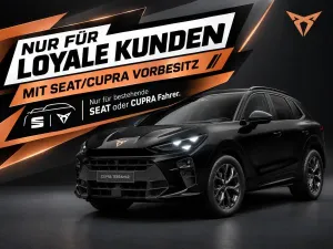 Cupra Terramar Leasing