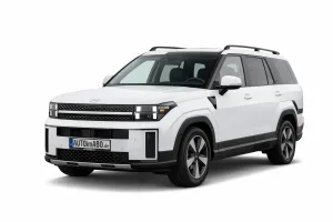 Hyundai Santa Fe im Auto Abo